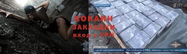 прущие грибы Осташков