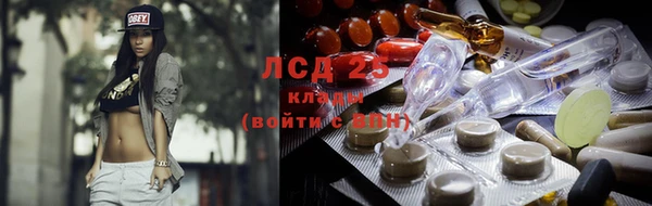 крисы Нязепетровск