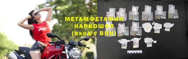прущие грибы Осташков