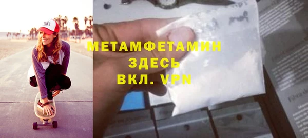 прущие грибы Осташков