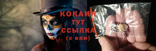 прущие грибы Осташков