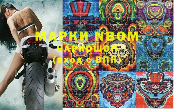 прущие грибы Осташков