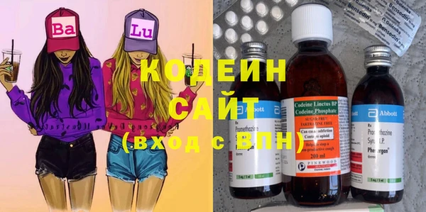 прущие грибы Осташков