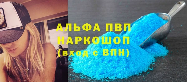 прущие грибы Осташков