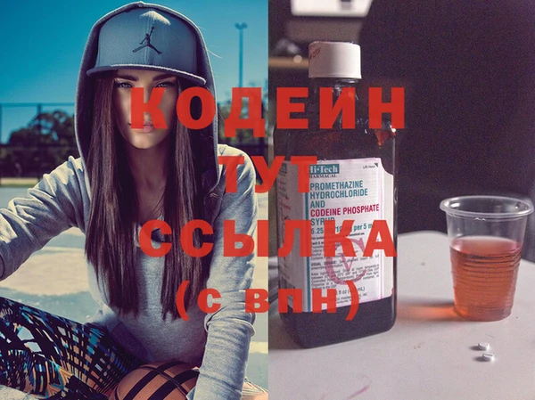 прущие грибы Осташков