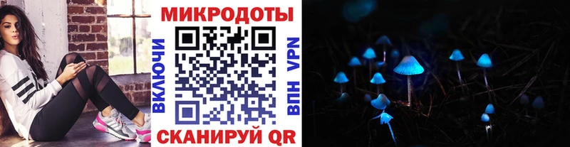 Псилоцибиновые грибы Psilocybine cubensis мега Новосиль